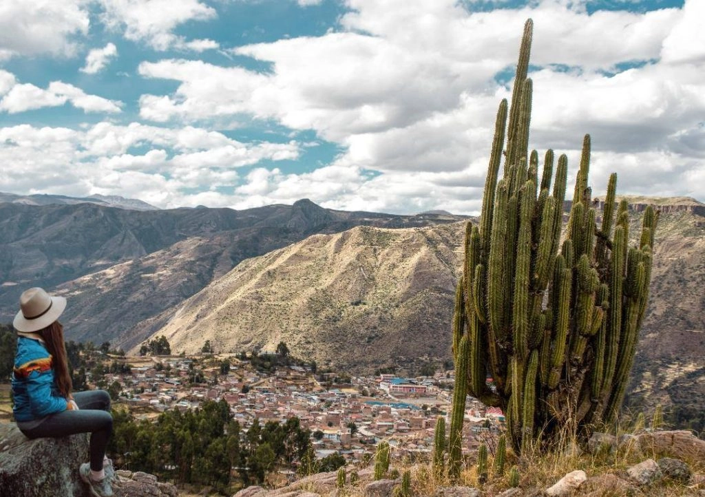 Huancasancos - Detalle 1